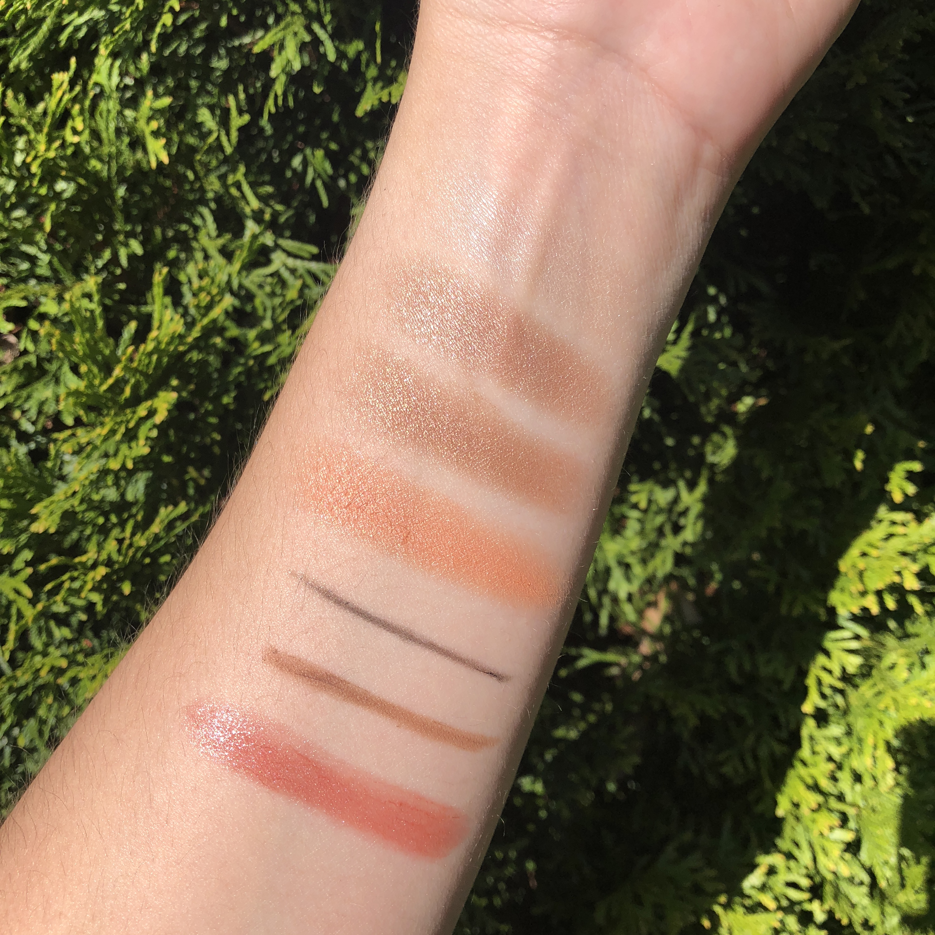 Burts Bees Makeup Swatches in natural light
